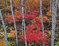 img_01